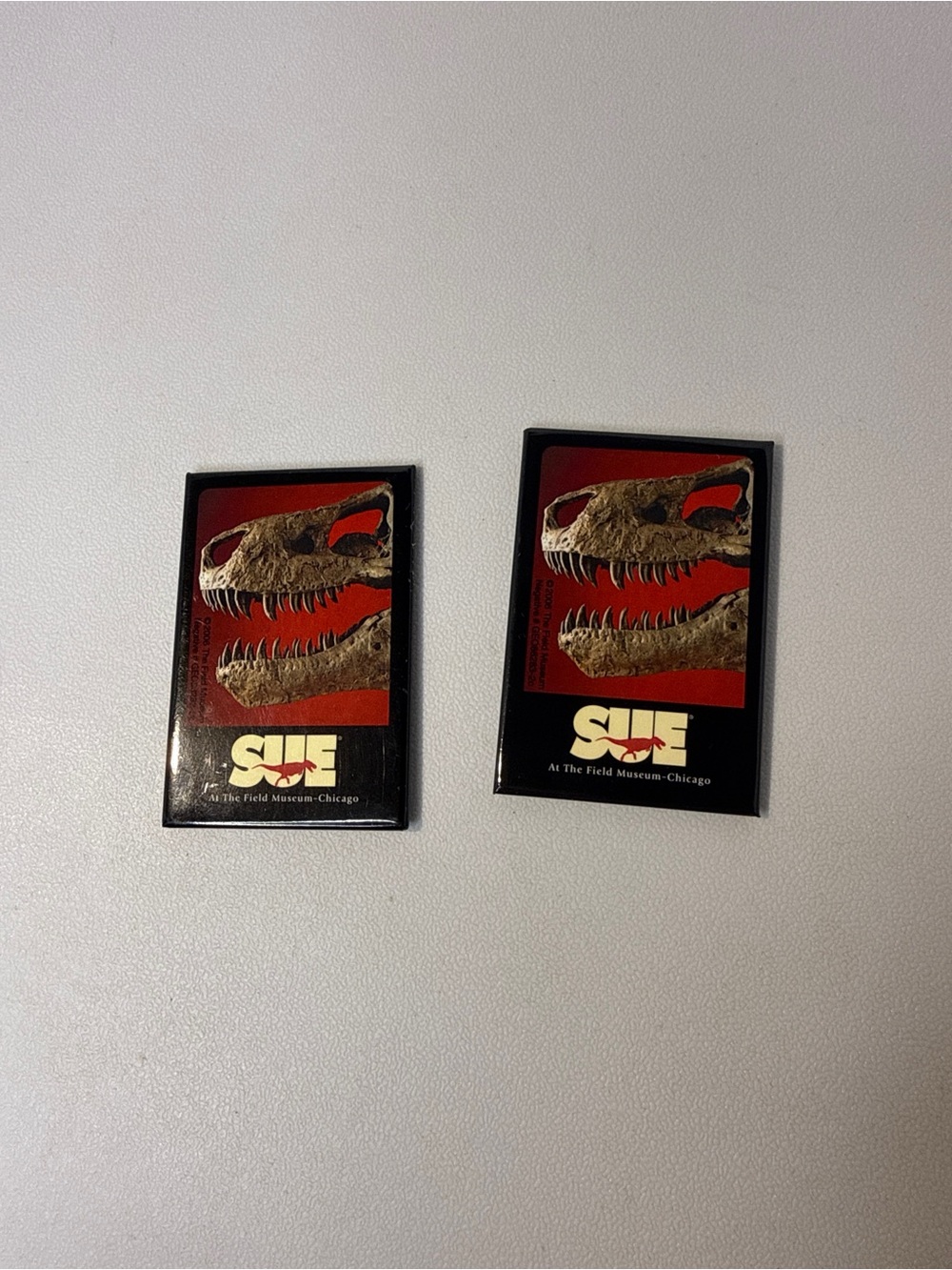 Set of 2 SUE T. rex Skull Magnets - Field Museum Chicago